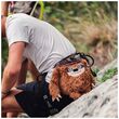 Chalk Bag Sloth Πουγκί Σκόνης Μαγνησίας Y&Y
