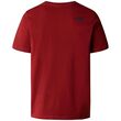 The North Face Ανδρικό T-Shirt Rust 2 Tee Iron Red