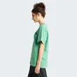 Κοντομάνικο The North Face Unisex Camping Graphic T-Shirt Dimmed Algae