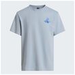 Κοντομάνικο The North Face Unisex Mountain Celebration Graphic T-Shirt Frost Grey