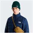 The North Face Dock Worker Recycled Beanie Hunter Green – Σκούφος με Ρεβέρ