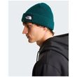 The North Face Salty Lined Beanie Pacific Teal – Σκούφος με Επένδυση FlashDry™