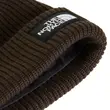 The North Face Salty Lined Beanie Dark Chestnut – Σκούφος με Επένδυση FlashDry™