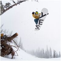 Basic Σανίδα Snowboard YES