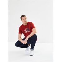 The North Face Ανδρικό T-Shirt Rust 2 Tee Iron Red