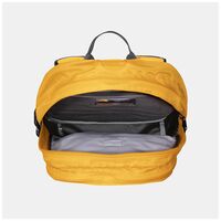 Σακίδιο Πλάτης The North Face Unisex Borealis Classic Summit Gold/Tnf Black