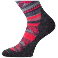 Ισοθερμικές Κάλτσες Merino Lasting Unisex WLI 388