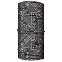Μαντήλι Λαιμού Fizan Paisley Grey