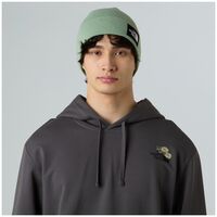 Σκουφί The North Face Unisex Dock Worker Recycled Slate Moss