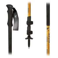 Τηλεσκοπικά Μπατόν Πεζοπορίας (Ζεύγος) Fizan Elbrus Orange