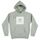 Icon Dusty Sage Hoodie Ανδρικό Armada