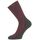 Ισοθερμικές Κάλτσες Trekking Merino Lasting WHI 380 Unisex