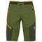 Ανδρική Βερμούδα Rock Evo Bermuda Cedar Green/Rifle Green Karpos