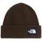 The North Face Salty Lined Beanie Dark Chestnut – Σκούφος με Επένδυση FlashDry™